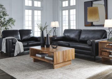 Bryceview Onyx Sofa Set